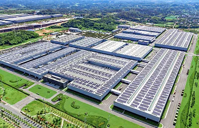 Company Profile