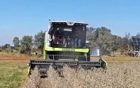 TE100 Wheeled Combine Harvester